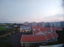 Blk 239 Pasir Ris Street 21 (Pasir Ris), HDB Executive #191940182